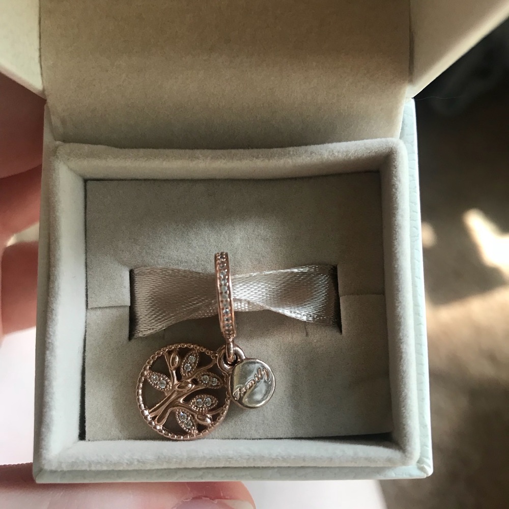 Pandora lot of charms!